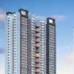 Foto del perfil de purvasilversky