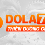 Foto del perfil de DOLA789 50YB