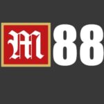 Foto del perfil de Miso88