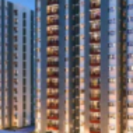 Foto del perfil de Mahindra Blossom