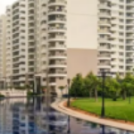 Foto del perfil de Purva Silversky