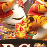 Foto del perfil de 5BG