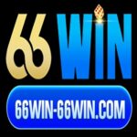 Foto del perfil de Bookmaker 66WIN