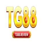Foto del perfil de TG88
