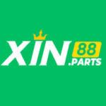 Foto del perfil de xin88