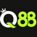 Foto del perfil de q88 innet