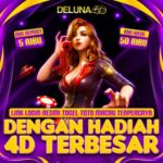 Foto del perfil de Yome manners