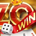 Foto del perfil de zowin innet