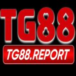 Foto del perfil de TG88