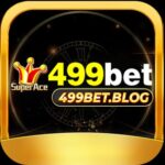 Foto del perfil de 499BET Online Casino Bangladesh