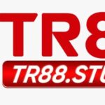 Foto del perfil de Tr88 study