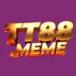 Foto del perfil de TT88