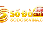 Foto del perfil de SODO66 VINA