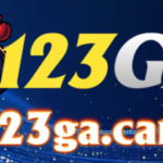 Foto del perfil de 123GA LAVIVE