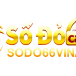 Foto del perfil de SODO66 VINA