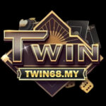 Foto del perfil de TWIN68