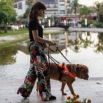 Foto del perfil de sofianunez