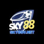 Foto del perfil de sky88vnet