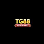 Foto del perfil de TG88 GBNET