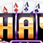 Foto del perfil de Haywin1 codes