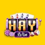 Foto del perfil de Haywin1 fund