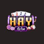 Foto del perfil de HAYWIN