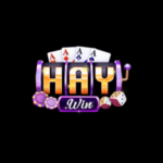 Foto del perfil de HAYWIN