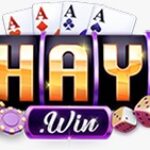 Foto del perfil de Haywin1 guru