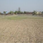 Foto del perfil de Reeltor