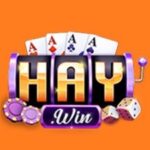 Foto del perfil de Haywin2 net