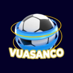 Foto del perfil de VSC