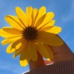 Foto del perfil de Maryam