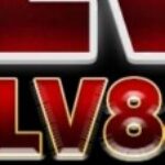 Foto del perfil de lv888team