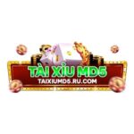 Foto del perfil de tài xỉu md5