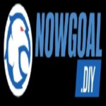Foto del perfil de Nowgoal diy
