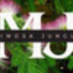 Foto del perfil de mimosajungle