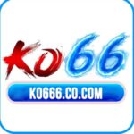 Foto del perfil de KO66