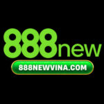 Foto del perfil de 888NEW VINA