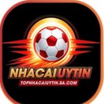 Foto del perfil de topnhacaiuytin