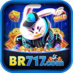 Foto del perfil de br717