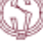 Foto del perfil de The Sentosa Vinhomes Star City