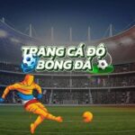 Foto del perfil de Trangcadobongda uk net