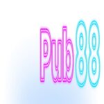 Foto del perfil de PUB88