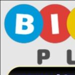 Foto del perfil de Bingo Plus