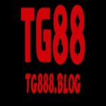Foto del perfil de Tg888 blog