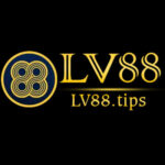 Foto del perfil de LV88 tips