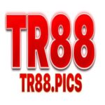 Foto del perfil de TR88