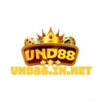 Foto del perfil de VND88 - Casino Uy Tín