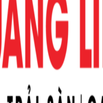 Foto del perfil de Thảm Thang Máy Mã QL351