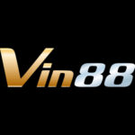 Foto del perfil de VIN88